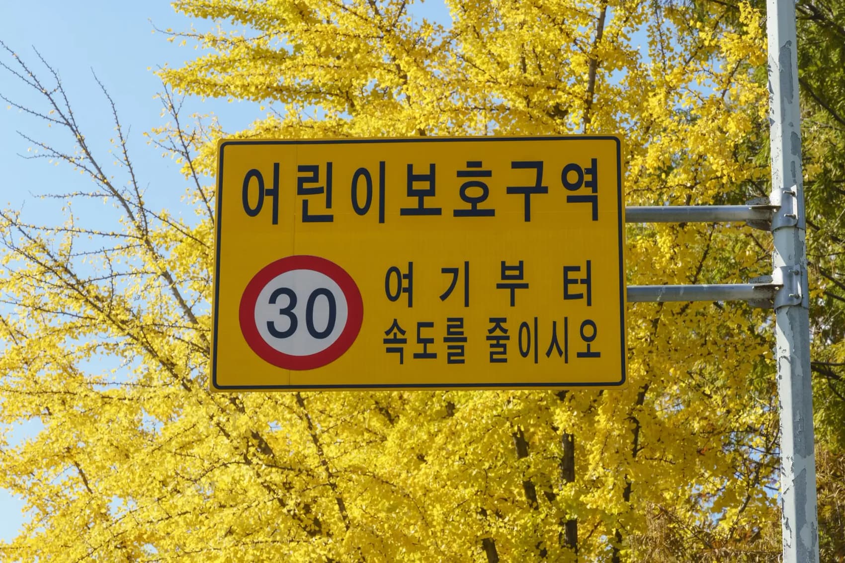 법무법인 대륜의 어린이보호구역교통사고/민식이법 개념 설명
