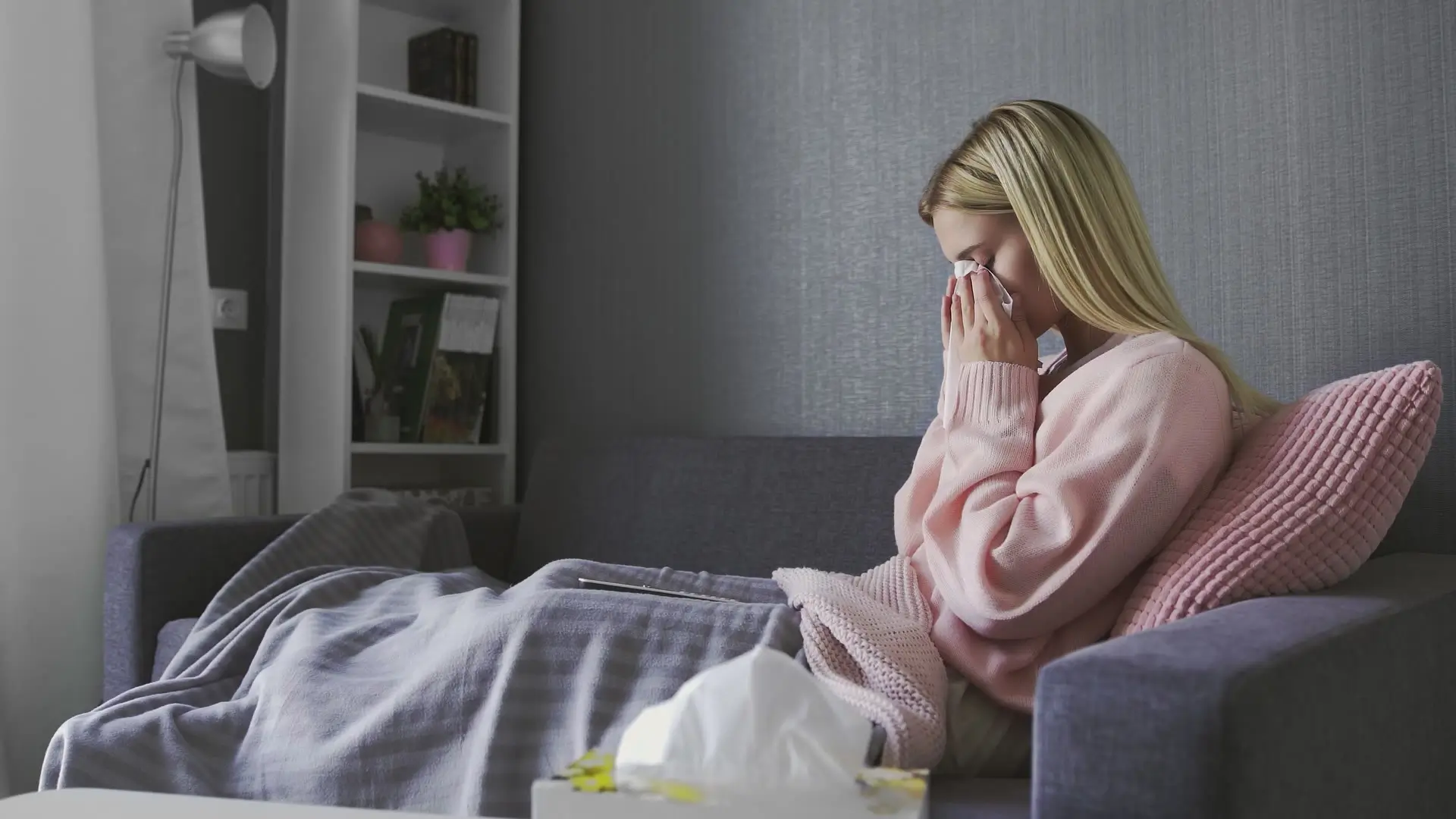 직장내따돌림 관련 법령