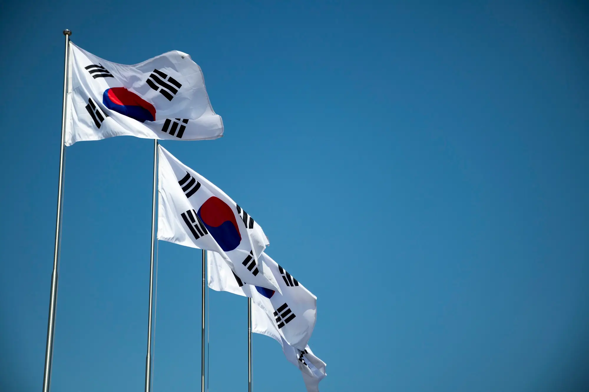 법무법인 대륜의 국가유공자등록 개념 설명